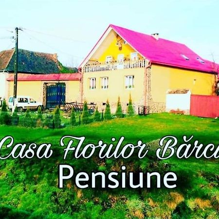 Appartement Casa Florilor Barcut Extérieur photo