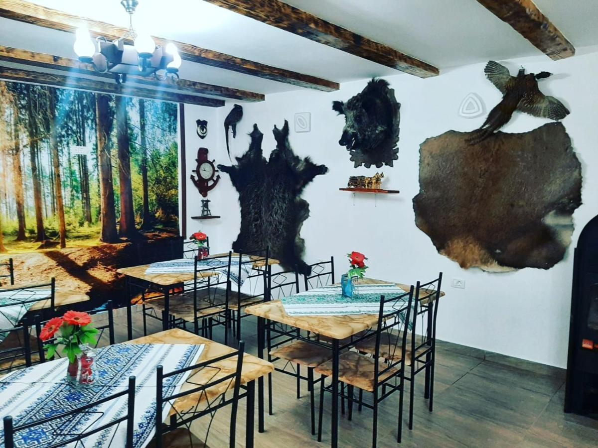 Appartement Casa Florilor Barcut Extérieur photo