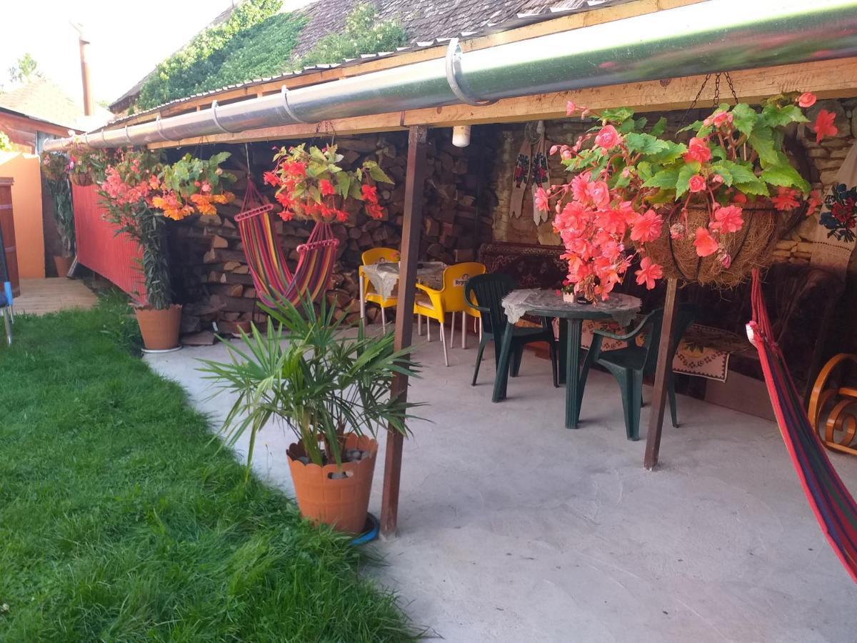 Appartement Casa Florilor Barcut Extérieur photo
