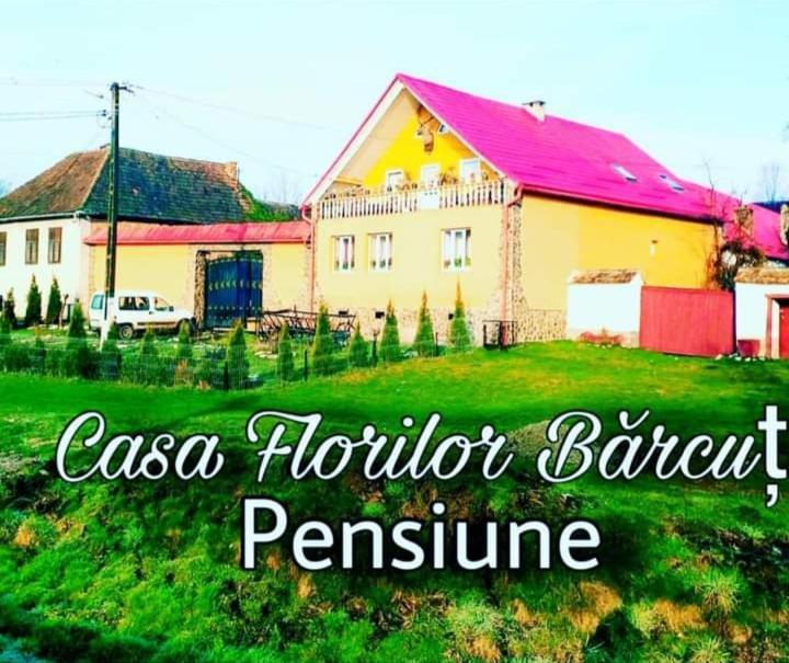 Appartement Casa Florilor Barcut Extérieur photo