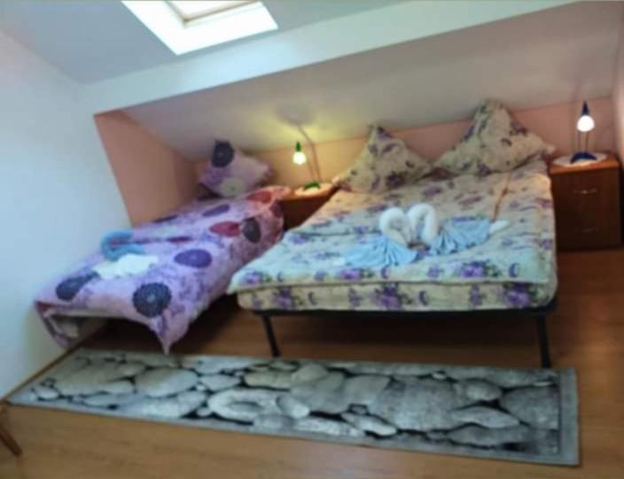 Appartement Casa Florilor Barcut Extérieur photo