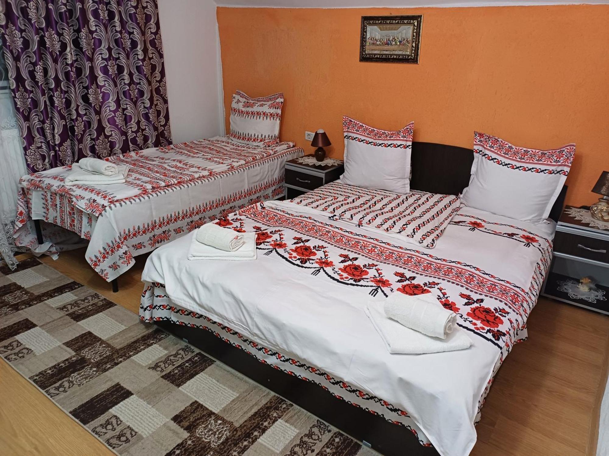 Appartement Casa Florilor Barcut Extérieur photo