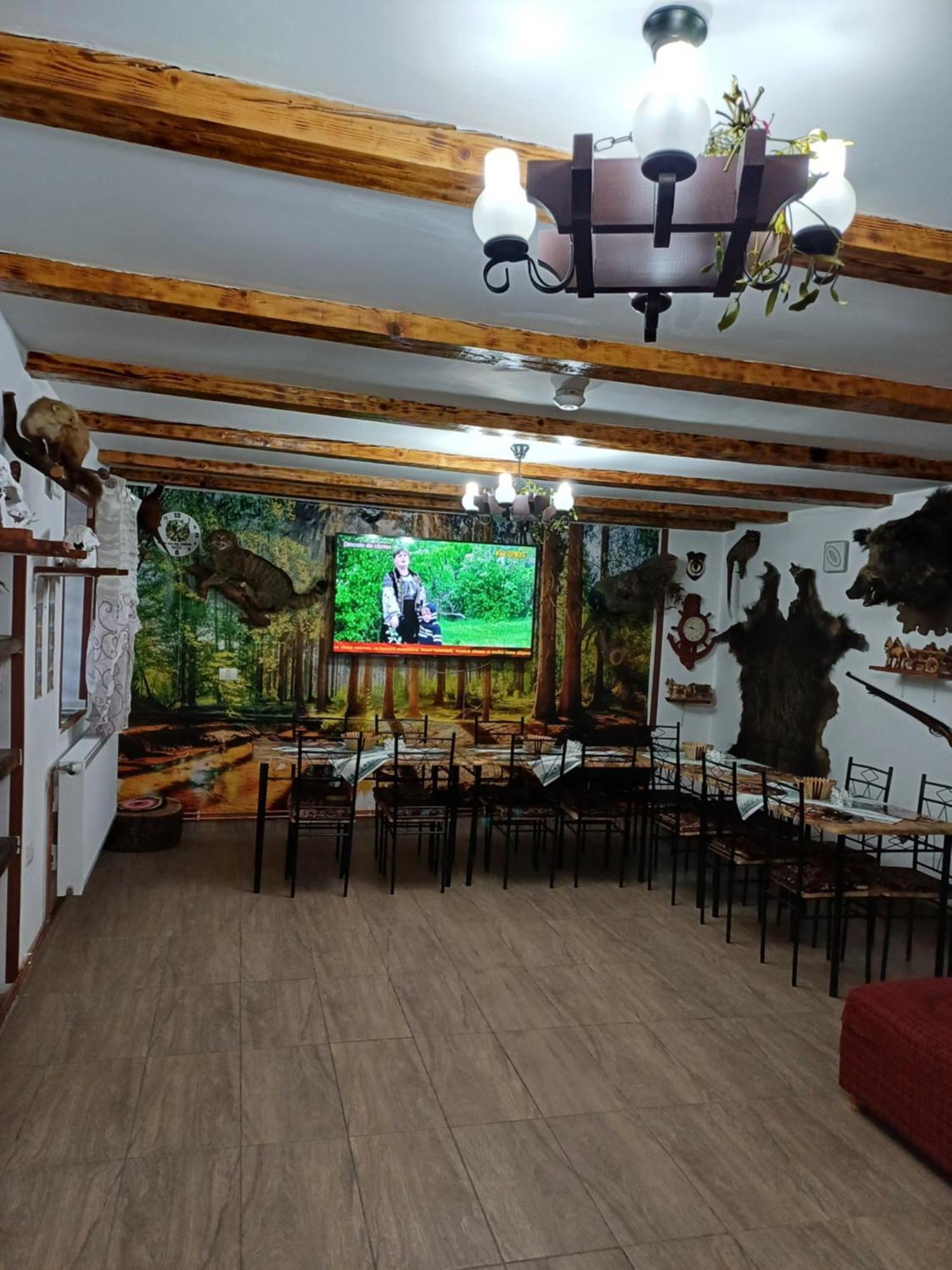 Appartement Casa Florilor Barcut Extérieur photo
